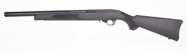 Ruger 10 22 Suppressed Rifle